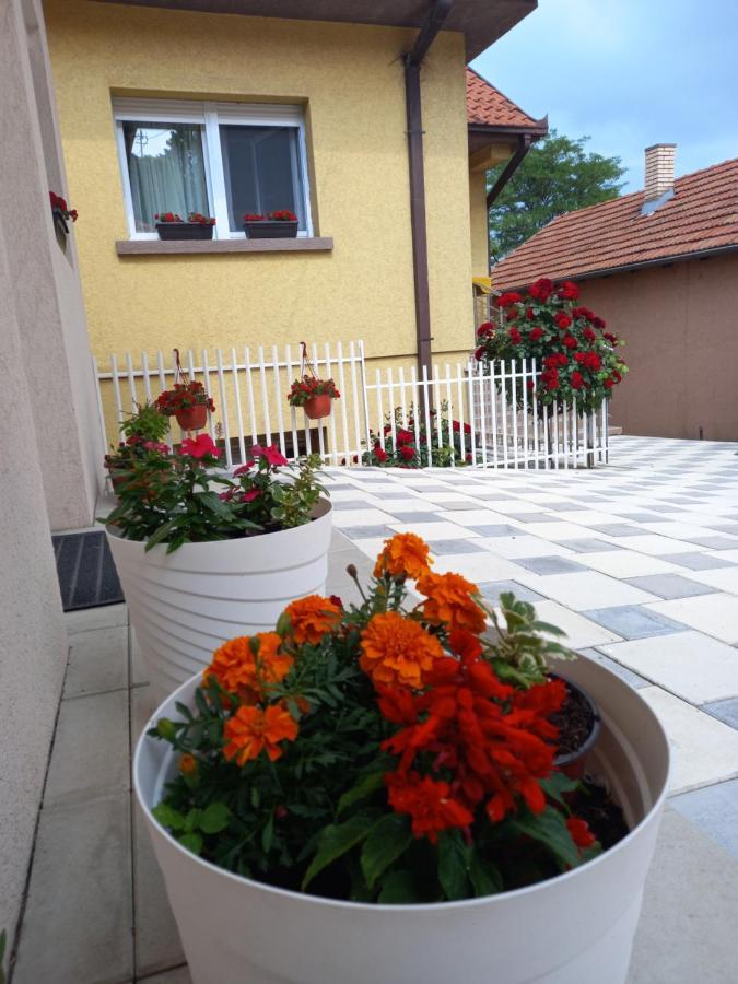 Leda Apartmani Смедерево Экстерьер фото