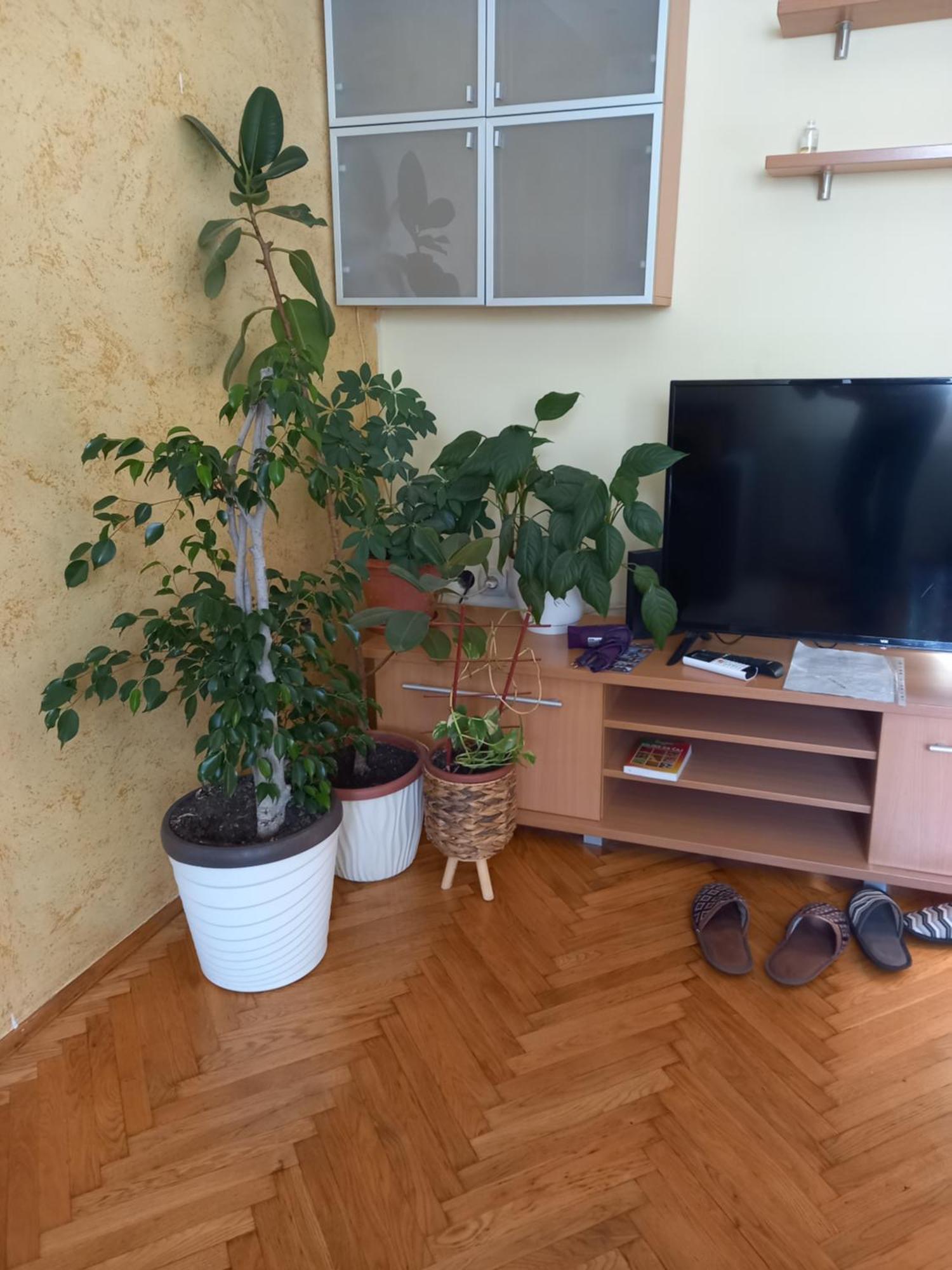 Leda Apartmani Смедерево Номер фото